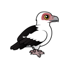 Thumbnail of Birdorable Palm-nut Vulture 