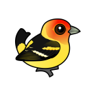 Thumbnail of Birdorable Western Tanager 