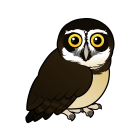 Thumbnail of Birdorable Spectacled Owl 