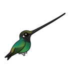 Thumbnail of Birdorable Sword-billed Hummingbird Perched