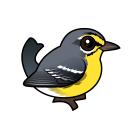 Thumbnail of Birdorable Adelaide's Warbler 