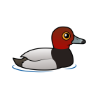 Thumbnail of Birdorable Redhead 