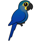 Thumbnail of Birdorable Indigo Macaw 