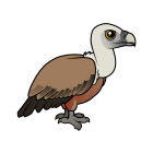 Thumbnail of Birdorable Eurasian Griffon 
