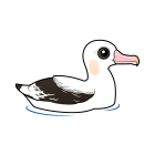 Thumbnail of Birdorable Wandering Albatross 
