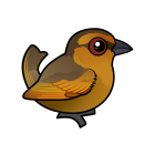 Thumbnail of Birdorable Brown Tanager 