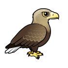 Thumbnail of Birdorable White-tailed Eagle 