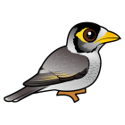 Thumbnail of Birdorable Noisy Miner 