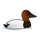 Thumbnail of Birdorable Canvasback 