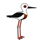 Thumbnail of Birdorable Banded Stilt 