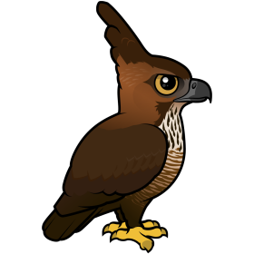 Javan Hawk-Eagle: Indonesia's National Treasure | Birdorable Birds