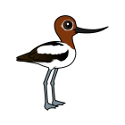 Thumbnail of Birdorable Red-necked Avocet 