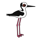 Thumbnail of Birdorable White-backed Stilt 