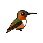 Thumbnail of Birdorable Allen's Hummingbird 