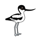 Thumbnail of Birdorable Pied Avocet 