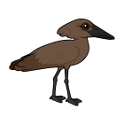 Thumbnail of Birdorable Hamerkop 