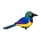 Thumbnail of Birdorable Golden-breasted Starling 