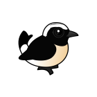 Thumbnail of Birdorable Cyprus Wheatear 