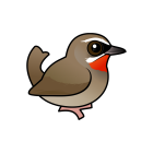 Thumbnail of Birdorable Siberian Rubythroat 