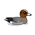 Thumbnail of Birdorable Eurasian Wigeon 