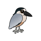 Thumbnail of Birdorable Boat-billed Heron 