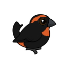 Thumbnail of Birdorable Puerto Rican Bullfinch 