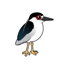 Thumbnail of Birdorable Black-crowned Night Heron 