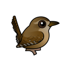 Thumbnail of Birdorable Eurasian Wren 