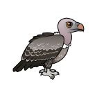 Thumbnail of Birdorable Rueppell's Vulture 