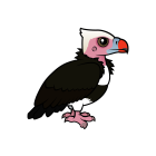 Thumbnail of Birdorable White-headed Vulture 