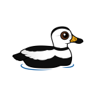 Thumbnail of Birdorable Labrador Duck 