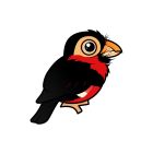 Thumbnail of Birdorable Bearded Barbet 