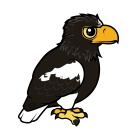 Thumbnail of Birdorable Steller's Sea Eagle 