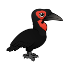 Thumbnail of Birdorable Southern Ground Hornbill 