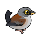 Thumbnail of Birdorable Yellow-eyed Junco 