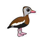 Thumbnail of Birdorable Black-bellied Whistling-Duck 