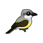 Thumbnail of Birdorable Western Kingbird 