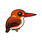 Thumbnail of Birdorable Madagascar Pygmy Kingfisher 