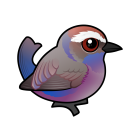 Thumbnail of Birdorable White-browed Tit-Warbler 