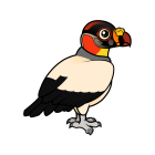 Thumbnail of Birdorable King Vulture 