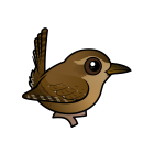 Thumbnail of Birdorable Pacific Wren 