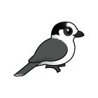 Thumbnail of Birdorable Canada Jay 