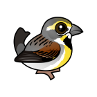 Thumbnail of Birdorable Dickcissel 