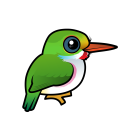 Thumbnail of Birdorable Cuban Tody 