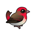 Thumbnail of Birdorable Common Rosefinch 