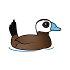 Thumbnail of Birdorable White-headed Duck 