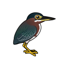 Thumbnail of Birdorable Green Heron 