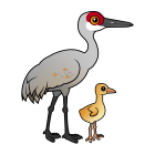 Thumbnail of Birdorable Sandhill Crane 