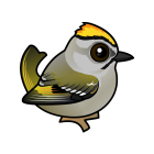 Thumbnail of Birdorable Golden-crowned Kinglet 