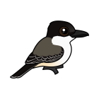 Thumbnail of Birdorable Loggerhead Kingbird 